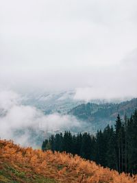 Scenic view of landscape against sky during foggy weather