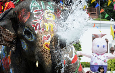 Water splashing from trunk of decorated elephant