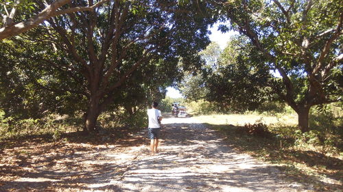 Rear view of young woman walking on tree