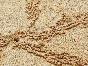 High angle view of sand on beach