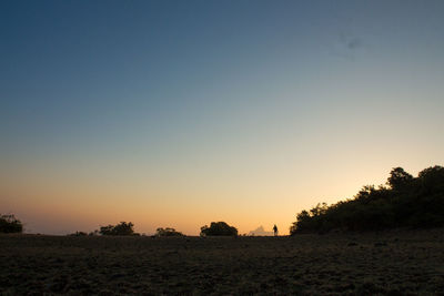 Silhouette trees on field against clear sky during sunset
