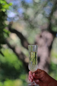 Close-up of hand holding glass