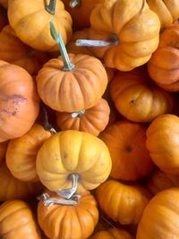 Full frame shot of pumpkins at market