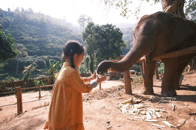 Full length of elephant in park