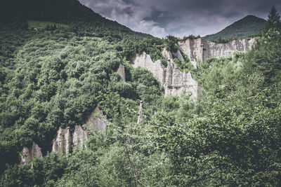 Panoramic view of trees and buildings against sky