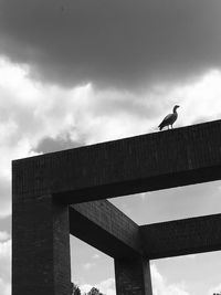 Low angle view of bird perching on bridge against sky