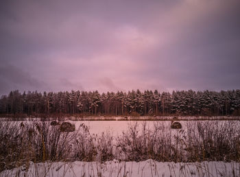 Scenic view of lake against sky during winter