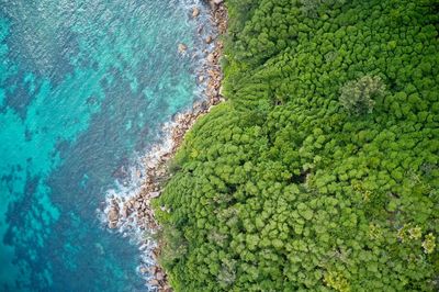 Drone field of view of rocky coastline with cliffs and turquoise blue waters praslin, seychelles.