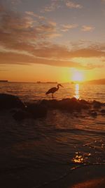 Scenic view of sea at sunset