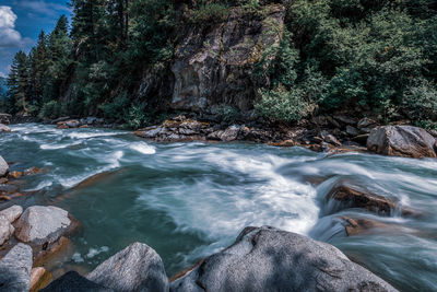 Scenic view of waterfall in forest