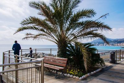 Palm trees by sea against sky