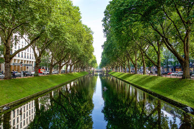 Canal amidst trees in park against sky in city