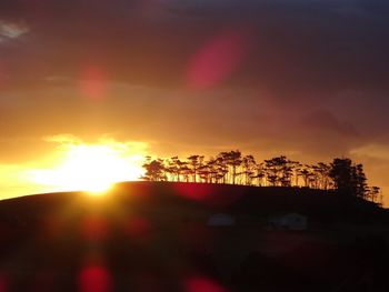 Low angle view of silhouette trees against sky during sunset