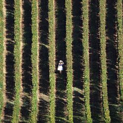 High angle view of man on field