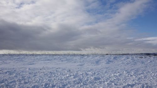 Scenic view of sea against sky during winter