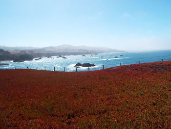 Scenic view of sea against sky