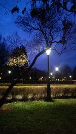 Illuminated street light at night