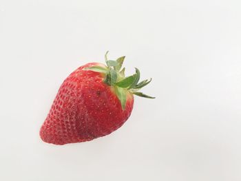 Close-up of red fruit over white background