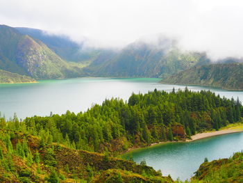 Scenic view of lake in forest against sky