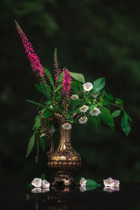 Close-up of flowering plant in vase on table