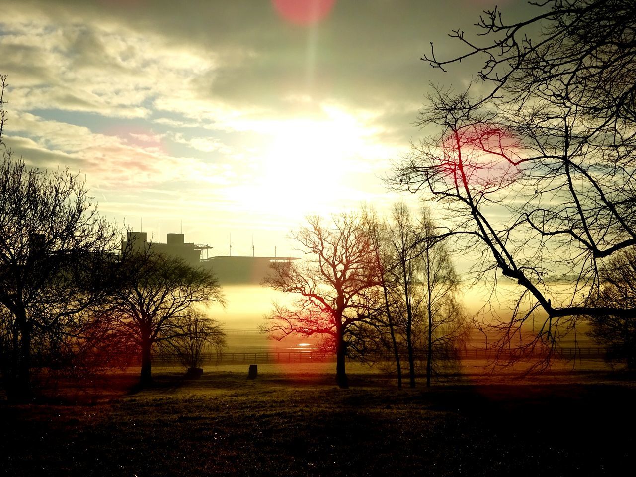 SILHOUETTE TREES IN CITY AGAINST SKY