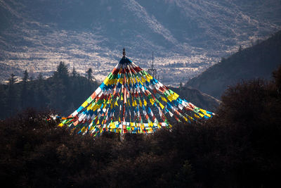 High angle view of illuminated lanterns hanging in forest against sky