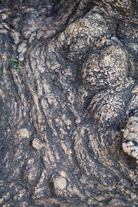 Full frame shot of a rock