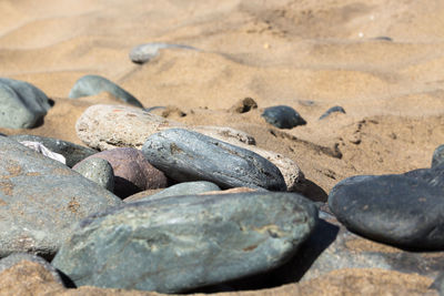 Close-up of pebbles on sand at beach