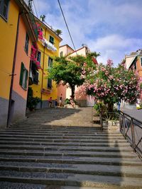 Potted plant by staircase against building in city