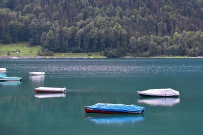 Boats moored in lake against trees