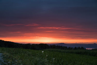Scenic view of field against sky during sunset