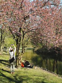 Full length of young woman with cherry blossom in park