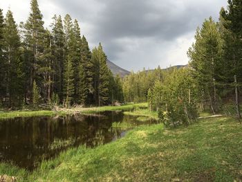 Scenic view of lake in forest against sky