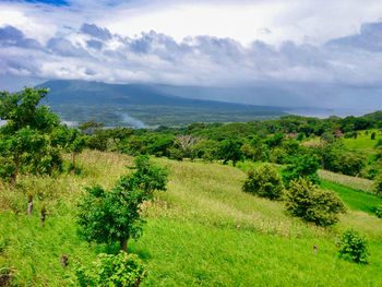 Scenic view of landscape against sky