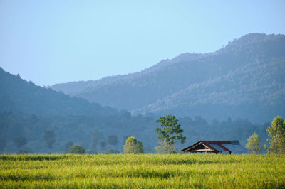 Scenic view of field and mountains against sky