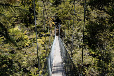 Footbridge amidst trees in forest