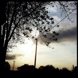 Low angle view of silhouette trees against sky