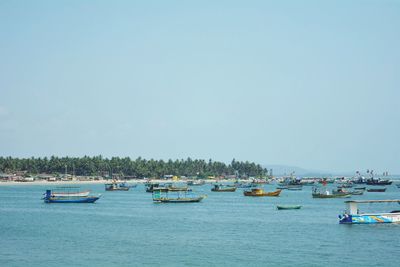 Sailboats in sea against clear sky