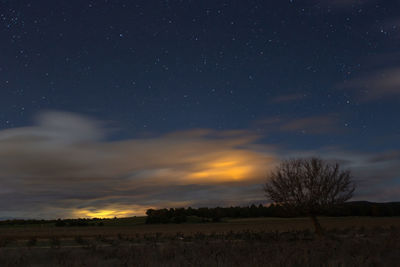Scenic view of field against sky at night