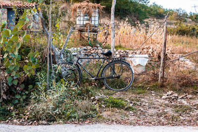 Bicycle parked by abandoned building