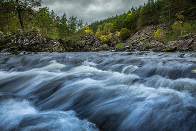 Scenic view of waterfall in forest