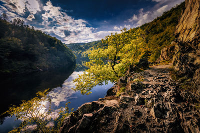 River bank of vltava in czech republic, Štechovice 26 km south of prague.