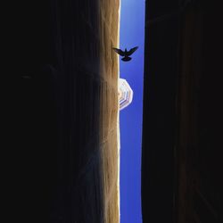 Airplane flying over sea against clear sky