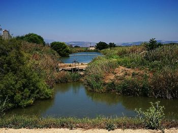 Scenic view of lake against clear blue sky