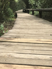 Wooden footbridge in forest