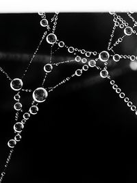 Close-up of water drops on spider web