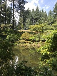Scenic view of forest against sky