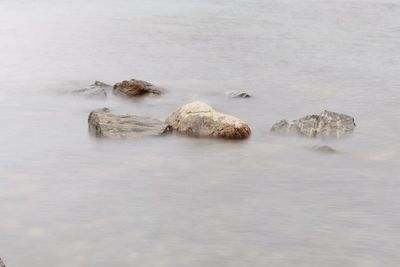 Rocks in sea