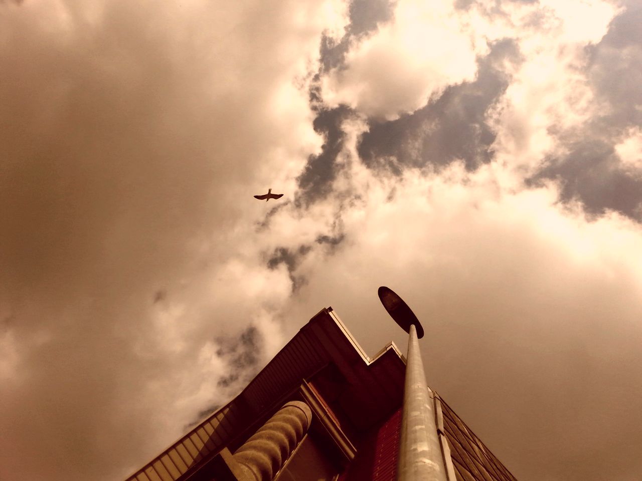 low angle view, sky, cloud - sky, architecture, cloudy, built structure, building exterior, cloud, high section, flying, roof, overcast, weather, outdoors, building, airplane, no people, directly below, sunset, day