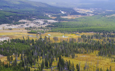 Scenic view of rural landscape